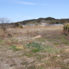標柱の立つ萩間川の葦の原