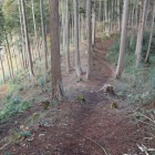 尾根の土塁