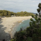 本浜