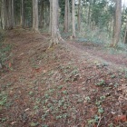 尾根の土塁