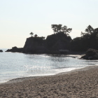 本浜
