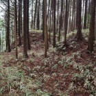 赤埴上城主郭虎口