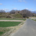 南の畑地から