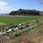 入り口左手の平地