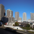 佃島遠景（灯台・鳥居・佃煮屋を確認）