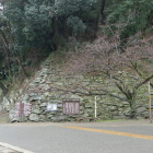 和歌山城　緑色片岩の石垣