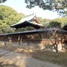篠山神社本殿
