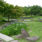 卯の花の里・於大公園