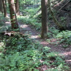 馬出門跡の土橋