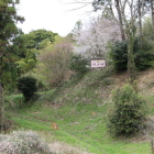 飯田城跡虎口付近桜と看板