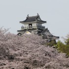 桜に浮ぶ天守閣北側駐車場より