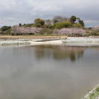 さざ波が立って写らない(4/4）