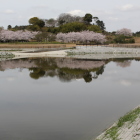 遊水池に写る逆さ久野城(4/7)全景