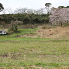 本丸と東の丸３本桜