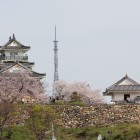 出丸鳥居曲輪跡現図書館より