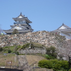 天守曲輪南面石垣と桜を求めて