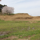 東の丸と三本桜(4/7)