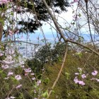⑨	天主台から見た琵琶湖