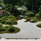 補堕落の庭　枯山水