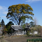 神明社