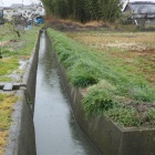 集落東側の水路