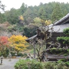 観音寺