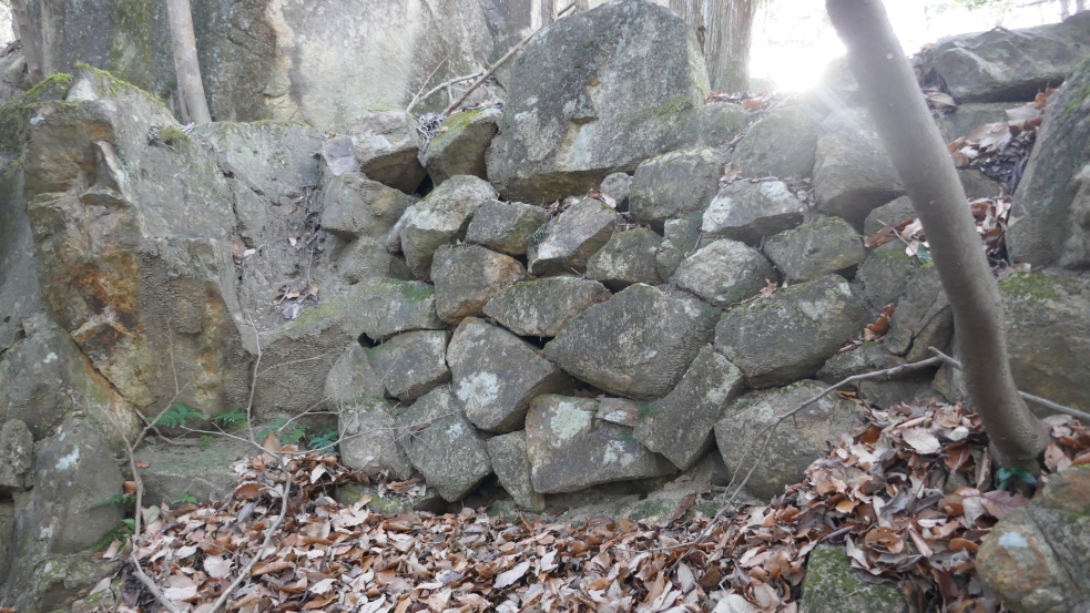 楯岩城石垣
