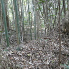 四郭跡とみられる　土塁が残る