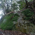 この岩盤を登ります