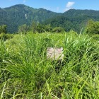 主郭の塚の上の祠