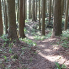 二の丸と本丸間の土橋