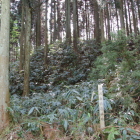 同左より奥に伸びて小山の陣城横矢陣？