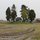 貴布祢神社微高地を西より周りは田圃