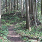 ４の丸への登城路