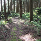 本丸と南曲輪間の土橋