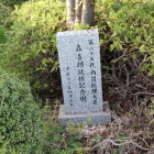 桜の根元に元総理記念樹記