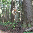 ４の丸と大手山道指示板