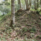 同左東の堀切土塁面