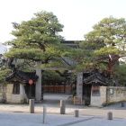 松任城址公園南の願念寺の左右の赤松