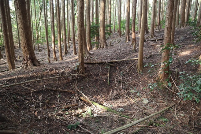 主郭南虎口の堀と土橋