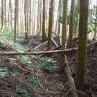 北東部の横堀