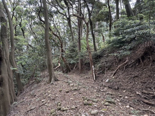 横堀・切岸