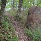 尾根道の脇の巨石、門?