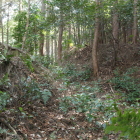 北尾根のカギ状虎口