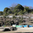 城跡遠景