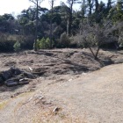 山上寺院