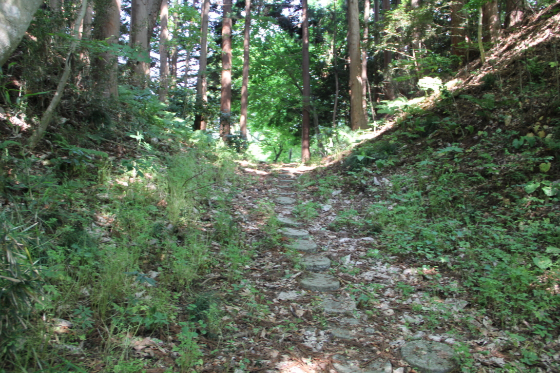 １郭、２郭間の堀切西より