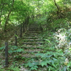 物見へ登る丸太階段