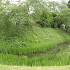 本丸北東角の土塁と内堀