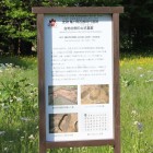 土坑墓群解説板